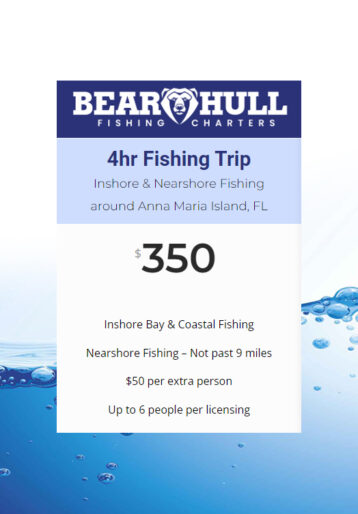 4-hr-fishing-trip-Bear-Hull-Fishing-Charters-pic